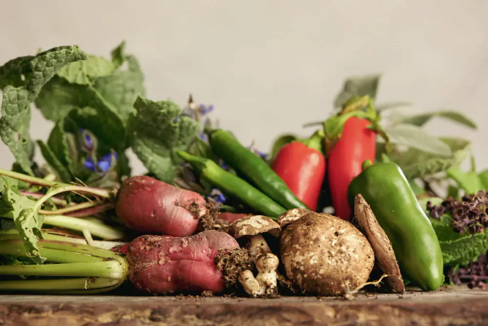 Export Produits Agricoles